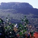 영산홍민박 이미지