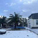 블루스프링리조트 이미지