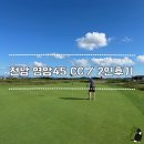 플레이에프 | 전남 골프존카운티 영암45CC / 짐앵 노캐디 2인 플레이 후기