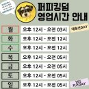 306 퍼피 | [애견운동장] 양주 퍼피킹덤