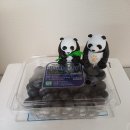 선리농장 | 내돈내산 지금이 블루베리 제철!그래도 복숭아를 이기다니 ㅠㅠ [엉클베리팜 블루베리]