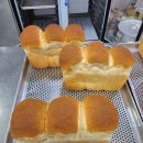 대지의 비상 | 제빵 기능사 실기 - 식빵(비상스트레이트법)/그리시니