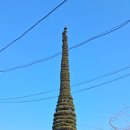 서정호농장 이미지