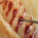 정동진 맛집 어부횟집 바다 한입가득 담은 날 모듬회 소짜 후기