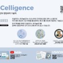 유사나디스트리뷰터 이미지