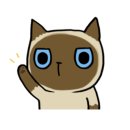 아산검도관 이미지