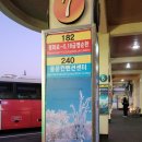 양지로240번길1 | 등산 초보 240번 타고 제주도 겨울 한라산 등반 후기 - 영실 코스 어리목 코스 난이도 비교