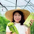 연님농장 이미지