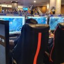 모임PC방 이미지