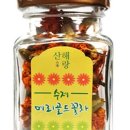 정을담은집