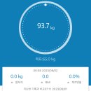 줄리아의 일상일기 및 다이어트 식단일기 299일차 300일차 :: 이태원 뿌리덤
