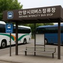 안양역시외버스정류장 이미지