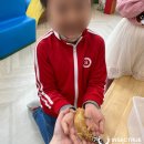 동신초교 병설유치원 이미지