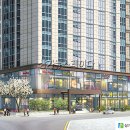 강남-264 이미지