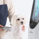 뽀송하랑 이미지