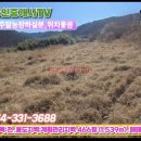 영천남부공인중개사사무소 이미지