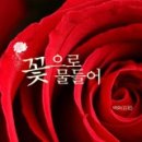 꽃 이미지