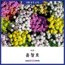 윤창호농장 이미지