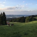 송영신목장 이미지