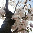 교산저수지 이미지