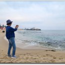 강릉 경포와 사근진 해변 이미지