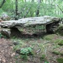 복성주유소 이미지