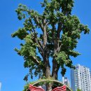 화명쉼터 이미지