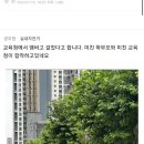 신규교사 자살사건관련 해당지역카페 글 이미지