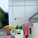 곰솔가든 | 시흥아이들과 가볼만한곳 무료체험 시흥에코센터에서 알차게 놀고온후기