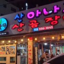 살아있네산곰장어 이미지
