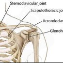 다사랑연합의원 이미지