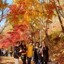 순이네집 이미지