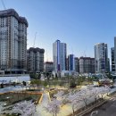 수창아파트 인근 이미지