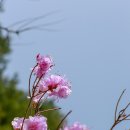 펜션 B612 이미지