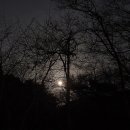 무룡산 | 2026.03.04.수.무룡산 야간등산후기