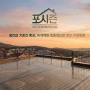 포시즌마트 네이버블로그
