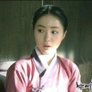 뿌리깊은나무 이미지