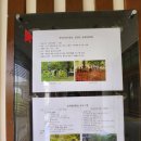 불갑농촌테마공원 | 전남 영광 불갑사/영광 산림박물관