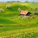 신우사우나 이미지