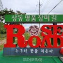 장미꽃길 2 이미지
