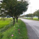 공갈못주유소 이미지