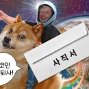 코인 이미지
