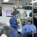 베를린 동물치과센터 이미지