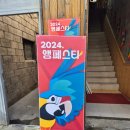 앵페스타 후기 ♡ parrotfesta