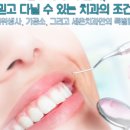 세온 치과기공소 이미지