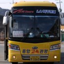 탑마트 앞 횡단보도 이미지