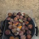 머그학동 이미지