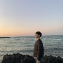 명노형농장 | [태교여행] 제주도 여행 2탄 🏝️(연돈, 감귤체험, 제주양떼목장, 몽탄)