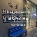 치아바타 | 인천 송도 베이커리 율교 | 빵지순례 치아바타 맛집 후기