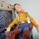 우디랜드 이미지